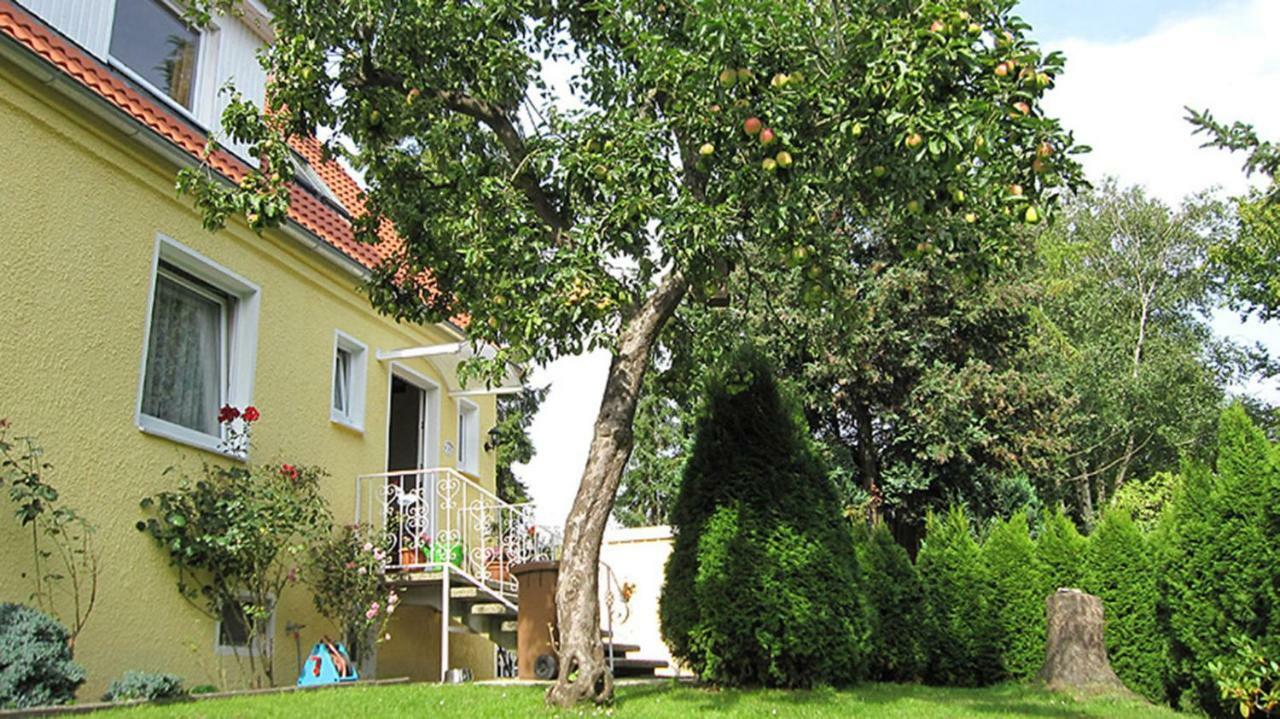 Goenndyr Lübeck